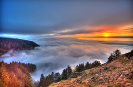 気象庁 東京五輪に合わせてポータルサイトを開設、防災気象情報は15言語に対応