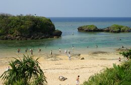 「奄美大島、徳之島、沖縄島北部及び西表島」が世界自然遺産に登録 4年の歳月を経て