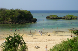 「奄美大島、徳之島、沖縄島北部及び西表島」が世界自然遺産に登録 4年の歳月を経て