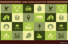 交流人口1,300万人を目指して農林水産省も「コト消費」を推進  食と農を観光資源に！農山漁村へのインバウンド送客を狙う