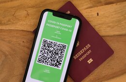日本のワクチンパスポート 政府がガイドライン公表の方針｜欧米では「義務化」進む
