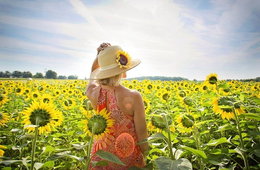 KlookとGoogleが連携 旅行事業者の公式サイト「Google Things to do」上で表示が可能に