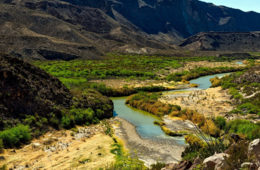 アメリカ・テキサス州知事がワクチン義務化の禁止を決定