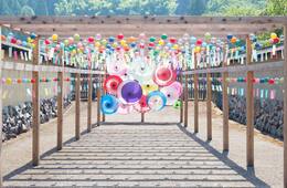 福井県、コロナ後に向け「観光スーパーバイザー」を設立