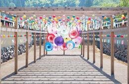 福井県、コロナ後に向け「観光スーパーバイザー」を設立