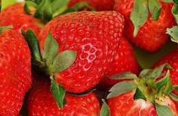 今年度予算1億円 日本のフルーツをお土産として持ち帰りやすく 農林水産省のインバウンド施策「おみやげ農畜産物検疫受検円滑化支援事業」とは