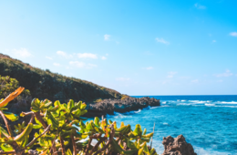 星野リゾート 沖縄那覇に新ホテル開業「都市観光」の新しいあり方を提供