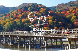 『コロナ禍の今だからこそ』インバウンド向けWEBサイトリニューアルの想いを聞いた （阪急阪神ホールディングス・阪急阪神マーケティングソリューションズ）