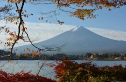山梨県で「シンゲンランド」 MaaS実証事業 最先端観光モビリティも
