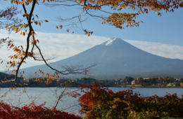 山梨県で「シンゲンランド」 MaaS実証事業 最先端観光モビリティも