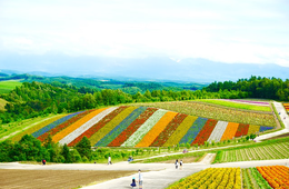 シティプロモーションとは？地域の魅力アピールとSDGsの関係性、北海道の事例も