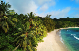 フィジー、観光客受け入れ再開 約2年ぶりに