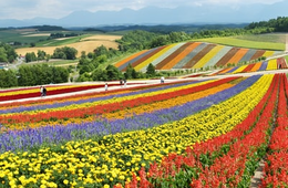 ANA会員「10,000人の住みたい街」 1位は北海道 