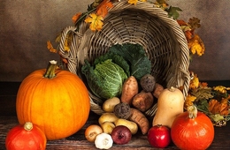 米 感謝祭の旅行者数、昨年の2倍以上に