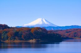英・旅行会社、4月からの訪日旅行ツアー再開に意欲