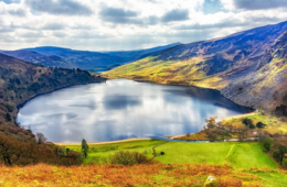 アイルランド、コロナ規制解除「オミクロン株の嵐を切り抜けた」