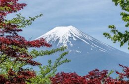 昨年末の日本人宿泊者数、コロナ前水準まで回復 観光庁発表