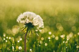 東日本大震災「復興ツーリズム」の今は。観光業から地域復興の促進へ