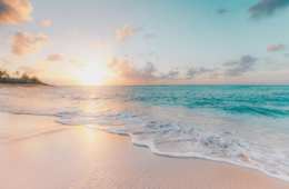 日本旅行業協会がハワイへ使節団を派遣、今夏のツアー再開に向けて