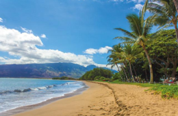 GW旅行動向予想  海外旅行は前年同期比507% 各国の入国制限緩和が影響