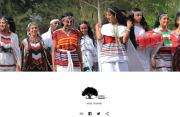 エチオピア、デジタル技術で中国人観光客の誘致を目指す