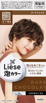 Liese Prettia(リーゼプリティア) 泡カラーダークショコラ