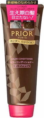 プリオール カラーコンディショナー N ダークブラウン 230gの商品画像