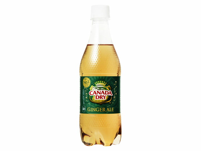 カナダドライ ジンジャーエール 2009 500ML PET