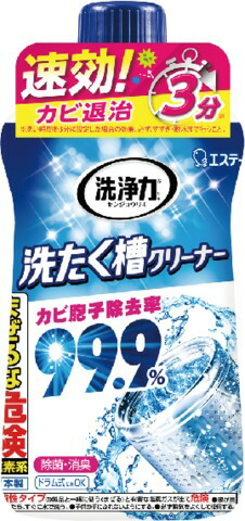 洗浄力 洗たく槽クリーナー 550g
