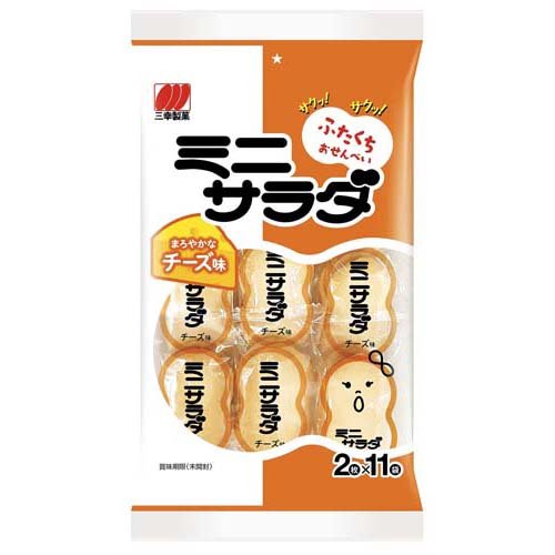 ミニサラダ チーズ味(22枚入)