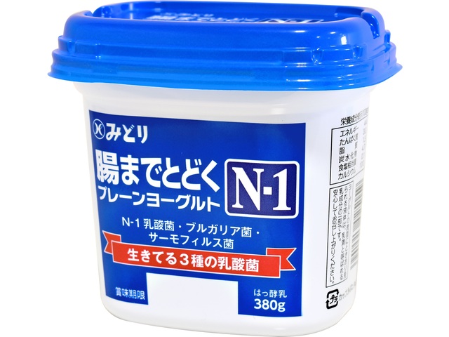 九州乳業 腸まで届く N-1 プレーンヨーグルト 380gの商品画像