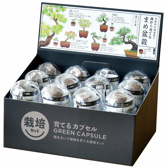 育てるカプセル　まめ盆栽