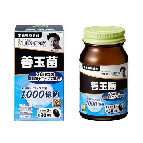 野口医学研究所 善玉菌 サプリ(60粒入)