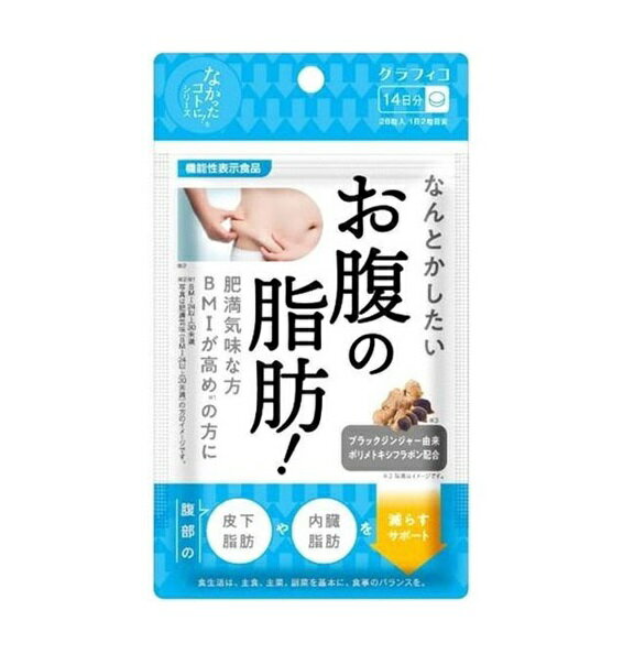 なんとかしたい お腹の脂肪 28粒