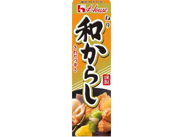 ハウス ねり和からし(43g)
