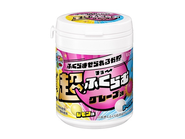 ロッテ ふ～せんの実 ボトル ワクワクみっくす! 131g