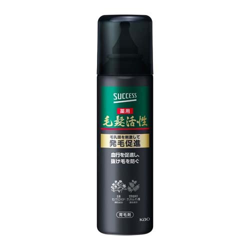 SUCCESS(サクセス) 薬用毛髪活性 無香料 185g