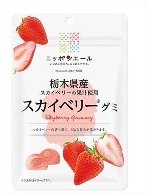 全国農協食品 ニッポンエール 栃木県産スカイベリーグミ 40g