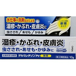 デルマレチゾンPV軟膏 10g