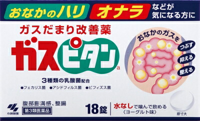 ガスピタン 18錠