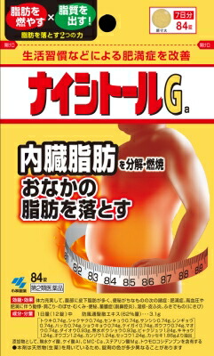 ナイシトールGa 84錠