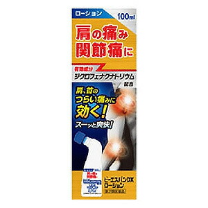 第2類医薬品 ビーエスバンdx ローション
