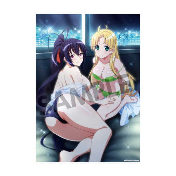 ハイスクールD×D HERO ビジュアルアクリルプレート vol.2 朱乃＆アーシア ビキニクリニック ver. ホビーストック