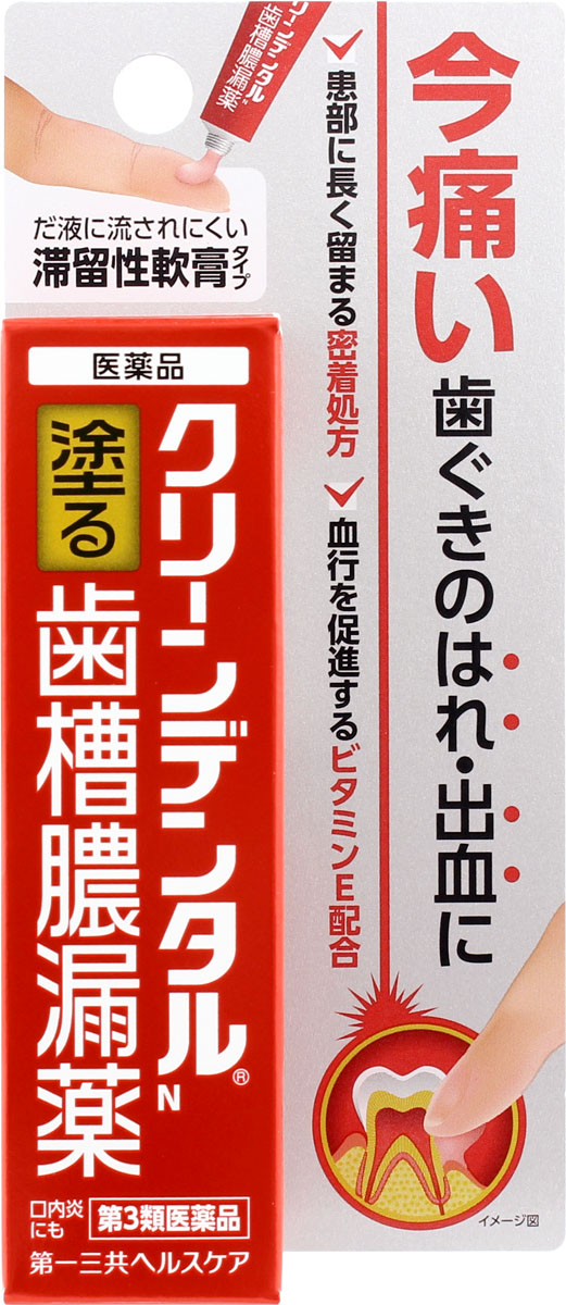 クリーンデンタルN 8g