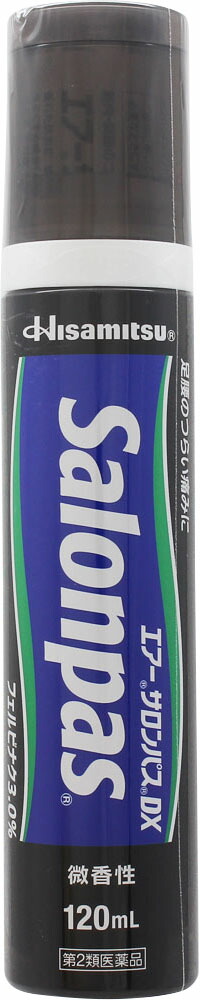 エアーサロンパスDX 120ml