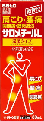 サロメチールL 80ml