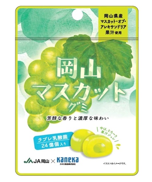 カネカ食品 岡山マスカットグミ ラブレ乳酸菌入 40g