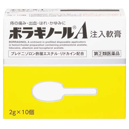 ボラギノールA注入軟膏(2g*10個入)