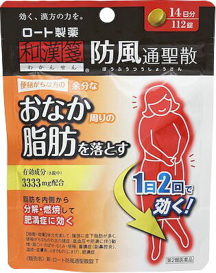 新・ロート防風通聖散錠T 112錠