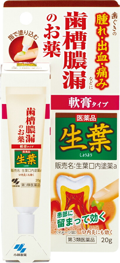 生葉口内塗薬 20g